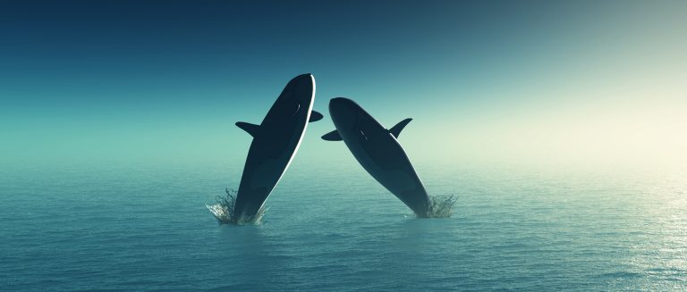 atlantic alfea duo vue panoramique sur l'océan avec des vagues et horizon dégagé