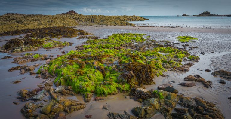 atlantic alfea extensa belle vue sur un littoral rocheux et une mer calme