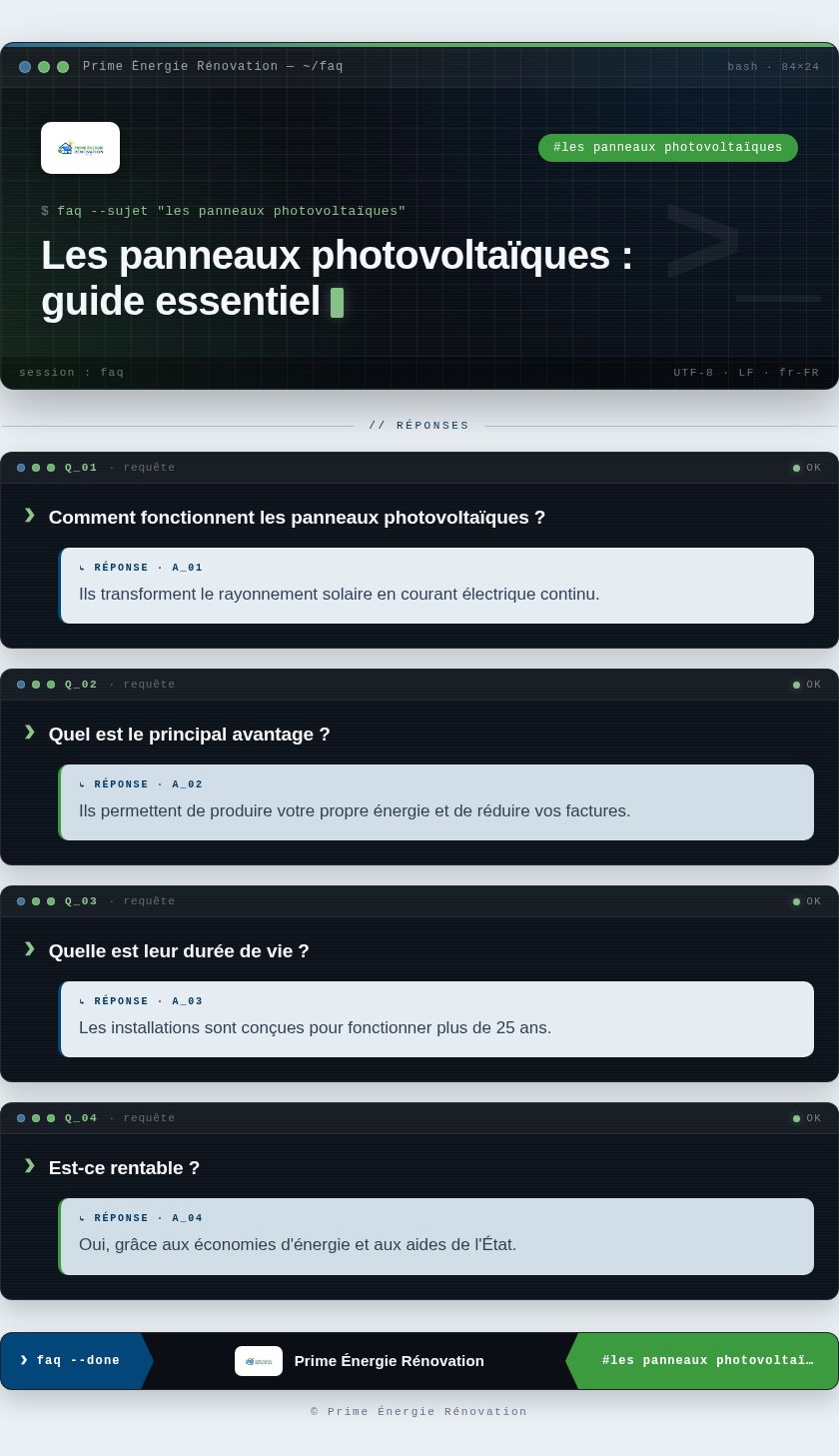 Infographie : Les panneaux photovoltaïques : guide essentiel