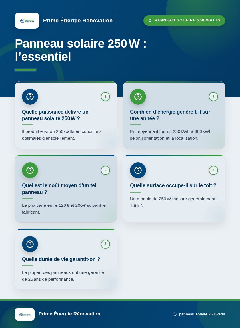 Infographie : Panneau solaire 250 W : l’essentiel