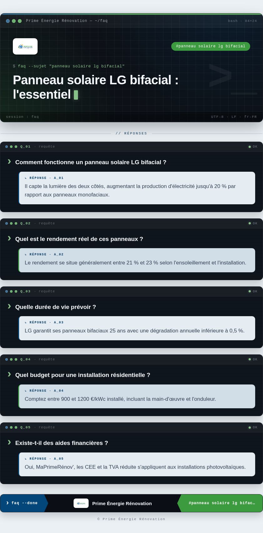 Infographie : Panneau solaire LG bifacial : l'essentiel