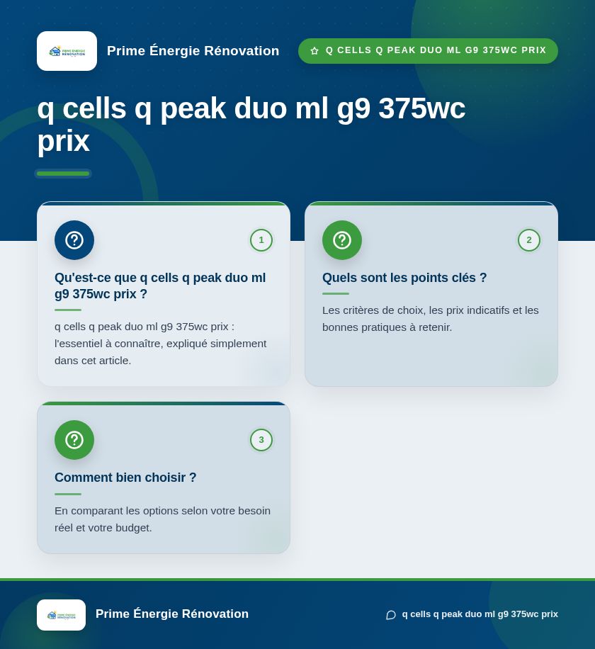 Infographie : q cells q peak duo ml g9 375wc prix